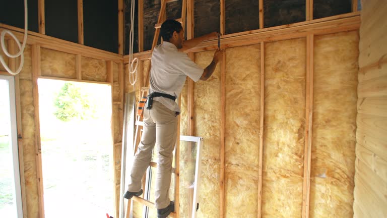 Best Reflective Insulation  in Palos Hls, IL