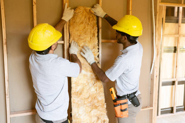 Best Insulation Air Sealing  in Palos Hls, IL