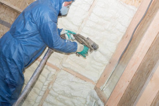 Best Pipe and Duct Insulation  in Palos Hls, IL