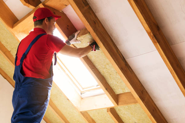 Best Wall Insulation Installation  in Palos Hls, IL